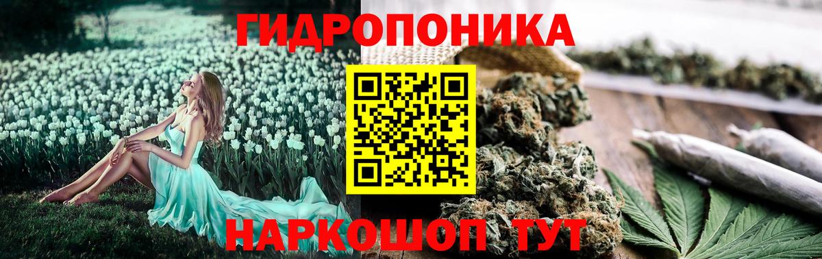 Каннабис SATIVA & INDICA Черняховск